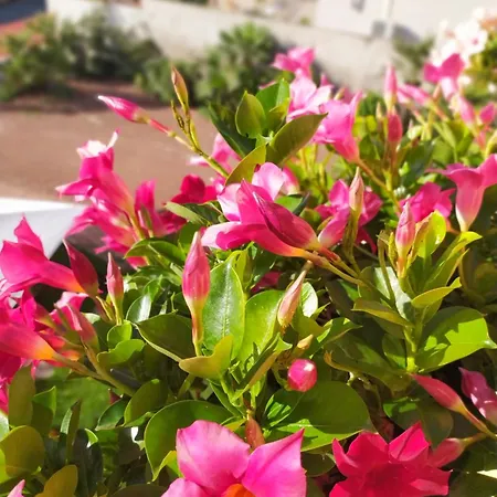 Il Sentiero B&bio 3* SantʼAntìoco