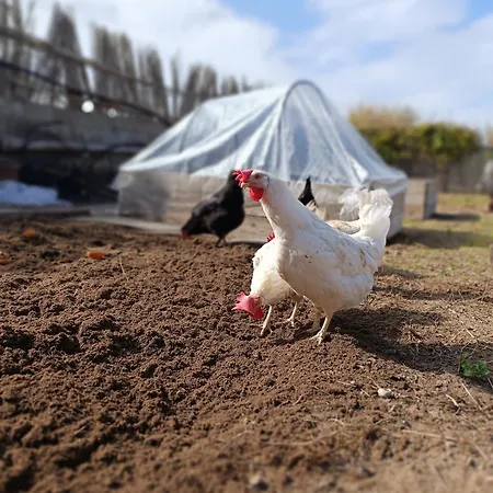 فندق مبيت وإفطار Il Sentiero B&bio